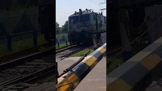 Train Horn Sound Effect Comparison Ludhiana WAP7 30651 and Tughlakabad WAP7 30335 hornsoundeffect [upl. by Fassold]