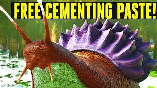 INFINITE CEMENTING PASTE SNAIL How to tameEverything you need to know Ark Survival Evolved 252 [upl. by Weiman]