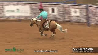 2017 AQHA Select Reining World Champion [upl. by Anerok]