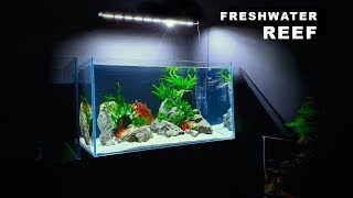 MAKING A FRESHWATER REEF AQUARIUM  STEP BY STEP  MD FISH TANKS [upl. by Boggers]