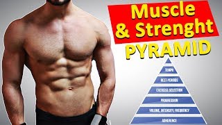 The MUSCLE and STRENGHT PRIORITY PYRAMID by Eric Helms [upl. by Soane]