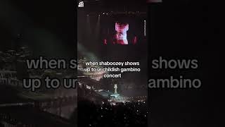 Shaboozey Surprises Crowd at Childish Gambino Show in NYC [upl. by Htebsil593]