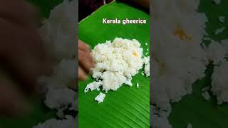 Kerala Ghee Rice  Tastyfood [upl. by Eillas]