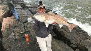 S2 Ep101 Bull Reds from the Rocks Freeport Jetties [upl. by Rennob]