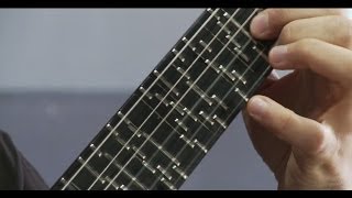 Microtonal Guitar Fixed Fret  Tolgahan Çoğulu [upl. by Nosauq399]