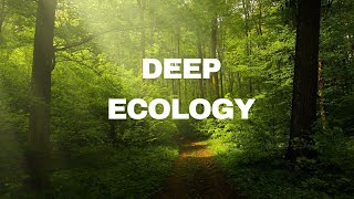 A Biocentric Worldview of Deep Ecology Reducing Human Impact on the Environment [upl. by Ries]