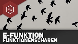 Funktionsscharen bei eFunktionen [upl. by Tarra]