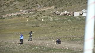 Tibetans doing parikrama of Mount Kailash [upl. by Corinne821]