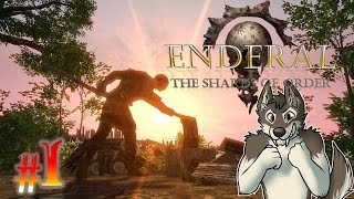 Lets Roleplay Enderal SKYRIM  DREAMS AND NIGHTMARES  Enderal Roleplay Part 1 [upl. by Ttelracs]