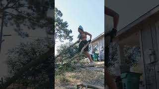 Yard work entertainment explorepage trusttheprocess yard entertainment [upl. by Moss]