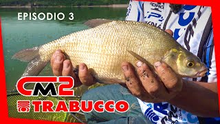 BREME di Corbara  PESCA allinglese  Competition Master S2E3  trabuccofishing [upl. by Dlorrej658]