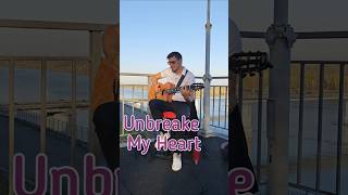 Unbreake My Heart  Tony Braxton  guitar solo cover [upl. by Ymer]