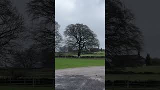 Macclesfield shortvideo Foodandtravellx5kd [upl. by Arehc393]