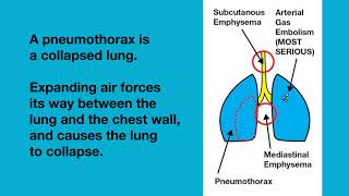 Lung Overexpansion Injuries [upl. by Howey]