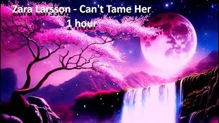 Zara Larsson  Can´t tame her 1 hour [upl. by Willock]