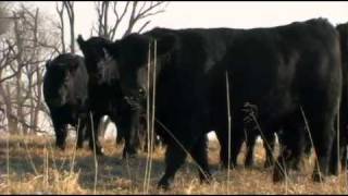 I Am Angus The Byergo family of Barnard Missouri [upl. by Akehsal]