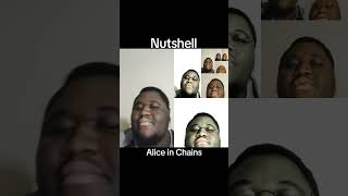 aliceinchains  Nutshell cover [upl. by Pillihp992]