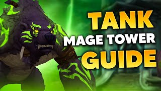 1015 TANK MAGE TOWER GUIDE  Guardian Druid PoV [upl. by Godderd]