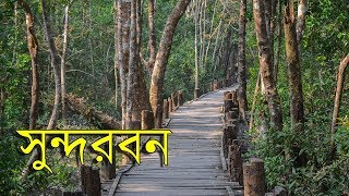 Travel Sundarban  Worlds Largest Mangrove Forest [upl. by Sila534]