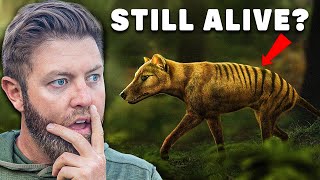 Why I Believe The Tasmanian Tiger Is Still Alive [upl. by Clarice]