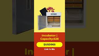 Boost Poultry Production with Our Ultimate Incubator [upl. by Alic81]