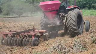 PLANTANDO CAPIM MOMBAÇA REFAZENDO A PASTAGEM [upl. by Ayotyal217]