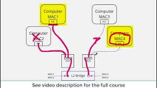 LAN Local Area Networks including Hubs Bridges and Switches [upl. by Harat356]