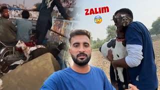 Hamari Goats Kay Sath Bahut Zulm Hoa 😥 [upl. by Pelson453]