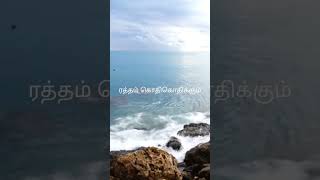 Kannalane Enadhu Kannai Song Lyrics [upl. by Notyard905]