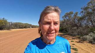 PIndar Free Camp exploring Mullewa Wildflowers WA [upl. by Asila]