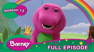 Barney  A Bird of a Different Feather Hawaii  Full Episode  Season 13 [upl. by Lundgren]