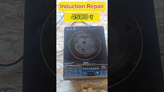 Induction 20 ₹ Main Sudhar Jaega Repair Havells induction ₹ 4500 experiment repair electrical [upl. by Krute962]