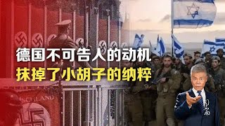 司马南：德国不可告人的动机，抹掉了小胡子的纳粹 [upl. by Anaujat24]