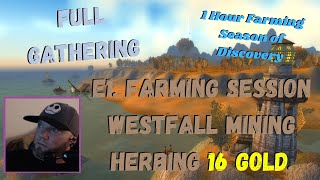 Wow Classic Season of Discovery Farming Session E1 16 Gold Per Hour Westfall [upl. by Duhl]