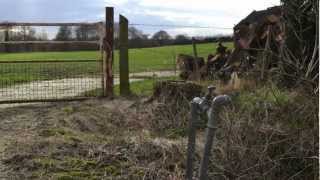 Hopping Huts Goudhurst Kent [upl. by Columbus]