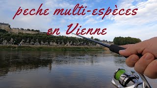 Sessions multiespèces en Vienne [upl. by Sirdna104]