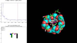 Docking simulation of catechin with 2 hydroxypropylβcyclodextrin [upl. by Gnos]