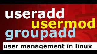 useraddusermodgroupadd user management commands in linux [upl. by Koball]