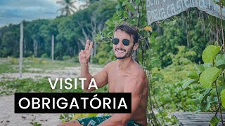 BOIPEBA IMPERDÍVEL  O que fazer como chegar praias e passeios no paraíso [upl. by Ahsikan]