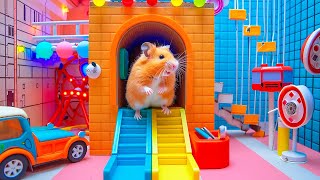 Hamster Conquers Ultimate Maze Challenge  Great Escape 🐹 Hamster Maze [upl. by Oirogerg]