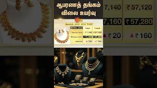 Today Gold Rate  Gold Price Hike  New Peak in gold rate  Chennai  Sunnews [upl. by Jacobson775]