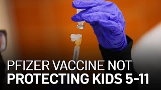 Pfizer COVID19 Vaccine Not Protecting Young Kids as Much as Older Recipients [upl. by Okime]