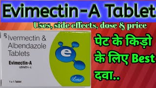 Albendazole amp Ivermectin EvimectinATablets uses in hindiपेट के किड़ो के लिए best दवा [upl. by Nami944]