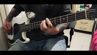 Stone Temple Pilots  Trippin on paper heart  bass cover [upl. by Anelam877]