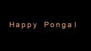 Pongal Vandhadhe  Pongal Songs [upl. by Odab]