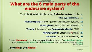 Endocrine System Physiology [upl. by Kehoe378]