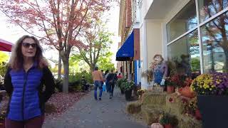 Niagara On The Lake Walking Tour  Ontario Canada [upl. by Osrock469]