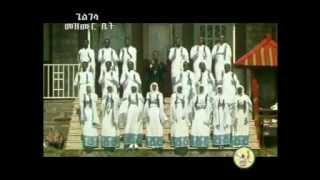 Zemari Fekadu Amare ዘማሪ ፈቃዱ አማረ Enamesegenehalen [upl. by Cohl]