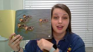 Ms Sorensen day 27 read aloud A Baby Duck Story [upl. by Raseta]