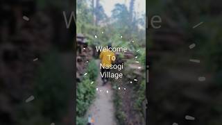 Best View And Budget Friendly Room In Manali Manali Unplanned Trip2 homestays manali shorts [upl. by Ekal]